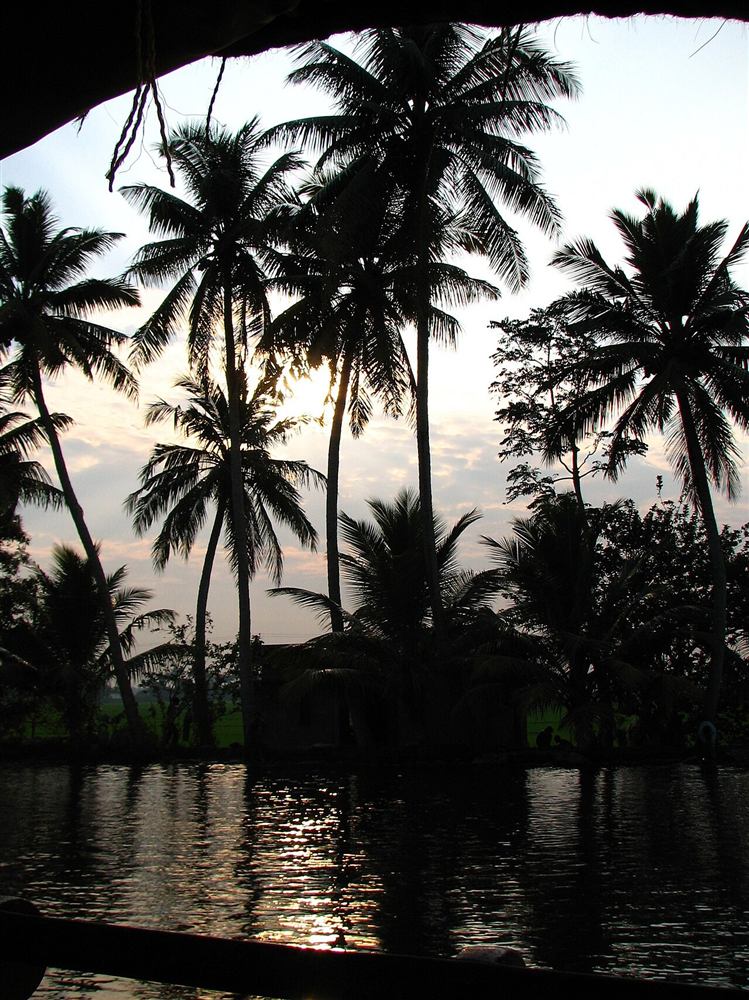 Sunset glowing through coconut palms over Kerala backwaters